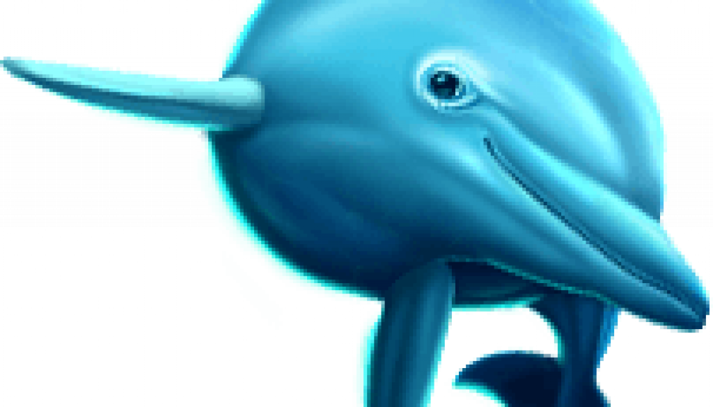 dolphin