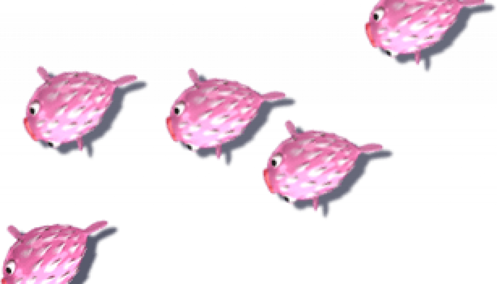 fish5
