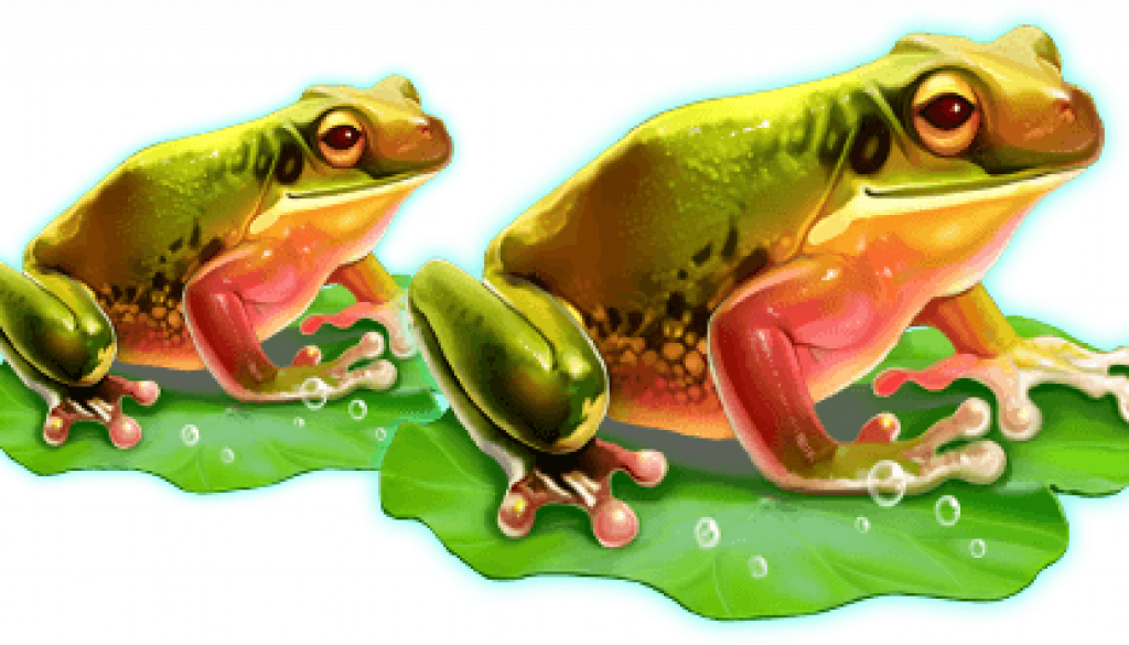 frog