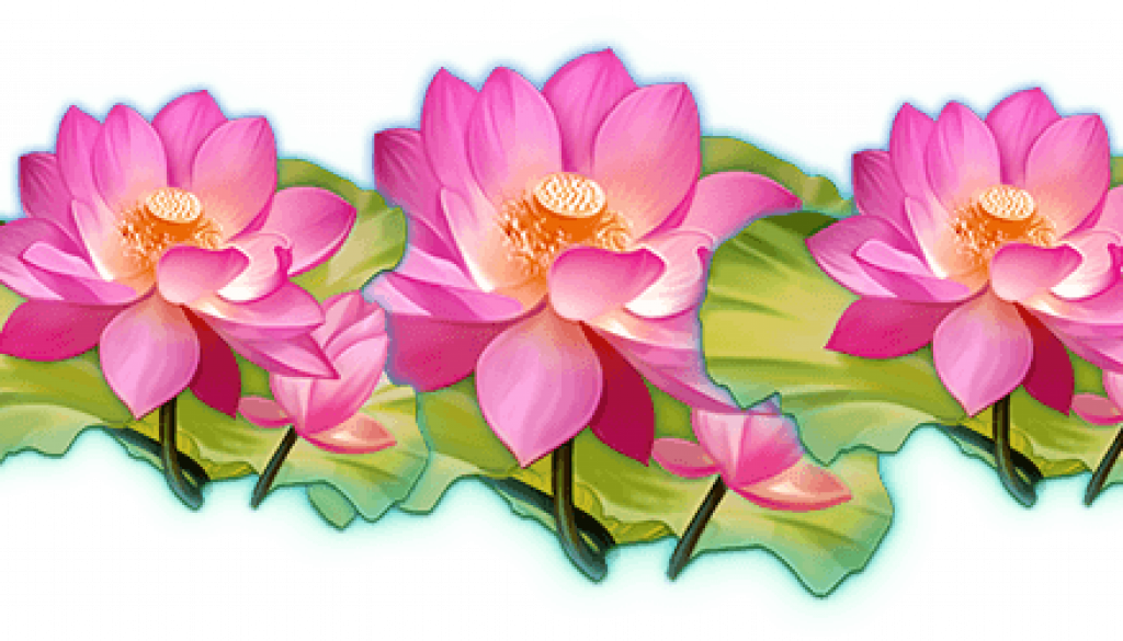 lotus