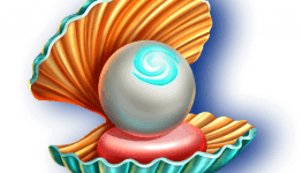shell_1